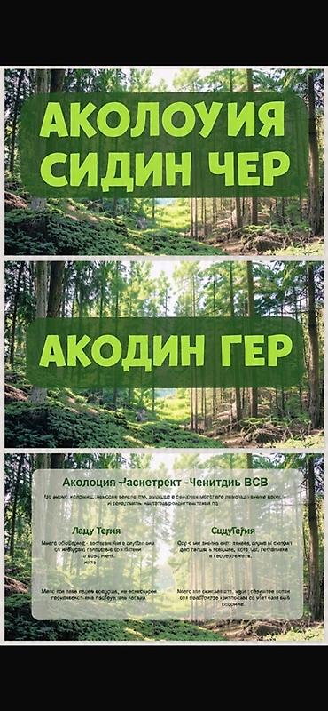 модульный коврик: Саламатсызбы! Мен карточка, презентация, реферат жасайм. 1 саатта — 1