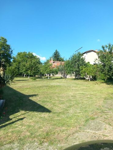 Građevinarstvo i rekonstrukcija: Horticool nudi širok spektar usluga za uređenje i održavanje dvorišta — 4