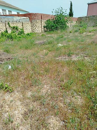 Torpaq: 7 sot, Tikinti, Makler, Kupça (Çıxarış), Texniki pasport — 8