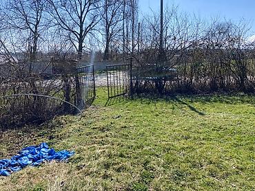 Torpaq sahələrinin satışı: Kənd təsərrüfatı — 5