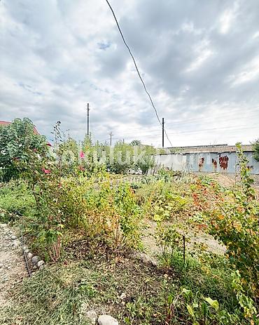 нижний токолдош: 🏠Продается дом в с. Сокулук 🟡 Комнаты: 2 🟡 Участок: 6 соток 🟡 — 4