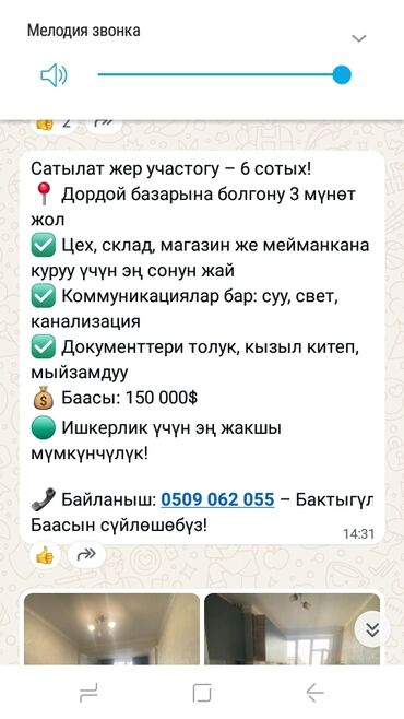 я ищу дом рабочий городок: 6 соток, Для бизнеса, Красная книга