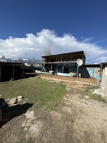 Продажа коттеджей и домов: Продаётся дом в селе Тюп. - Кирпичный дом с двускатной крышей и — 23