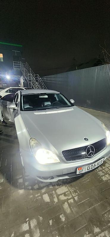 фонари освещения: Mercedes-Benz CLS-Class: 2004 г., Купе — 2