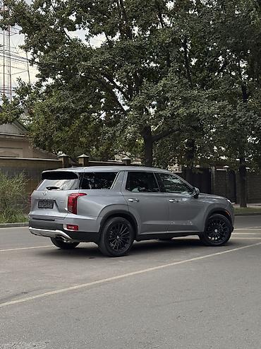 awd: Hyundai Palisade: 2020 г., 3.8 л, Автомат, Бензин, Кроссовер — 4
