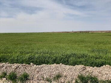 Torpaq sahələrinin satışı: 40000 sot, Kənd təsərrüfatı, Mülkiyyətçi, Müqavilə — 15