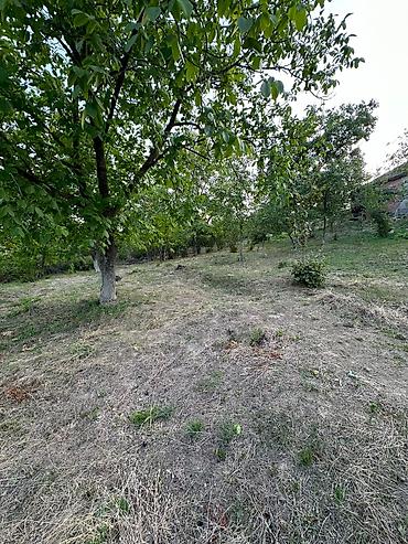 şabran torpaq satılır: 22 sot, Tikinti, Mülkiyyətçi, Kupça (Çıxarış) — 3