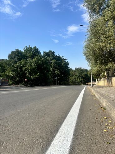 Kirayə torpaq sahələri: 13 sot İşıq — 7