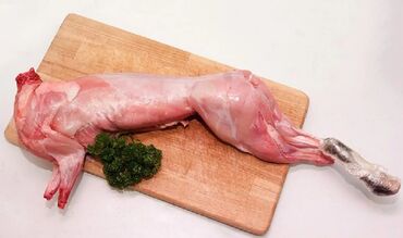 мясо кролика цена: Мясо кролика 450 сом за кг. Мясо всегда свежее, режу только под