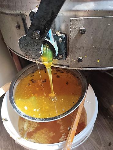 мёдь: Горный и полевой мёд из Кыргызстана — 100% натуральный продукт — 2