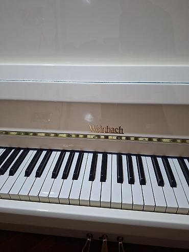 piano gallery: Piano, Weinbach, Akustik, Yeni, Pulsuz çatdırılma — 3