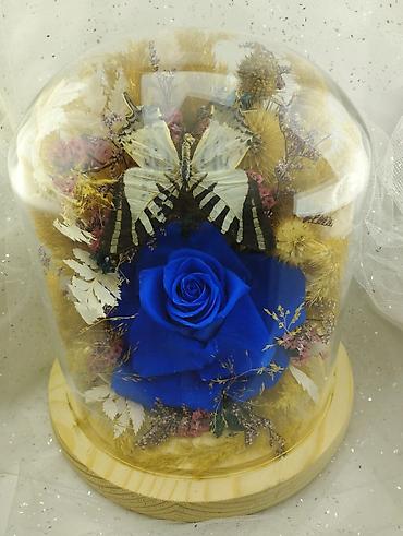 Организация мероприятий: Живые розы которые не завянут даже через год!!! Красивые цветы для — 9