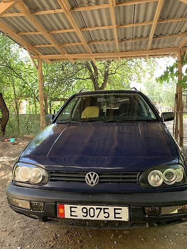 лак на авто: Volkswagen Golf Variant: 1995 г., 1.4 л, Механика, Бензин, Универсал — 5