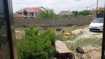 Bağ evlərinin satışı: Bakı, Buzovna, 200 kv. m, 3 otaqlı, Hovuzsuz, Su, Telefon, İşıq — 16
