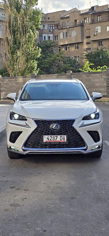 Lexus: Lexus NX: 2019 г., 2 л, Автомат, Бензин, Кроссовер — 12