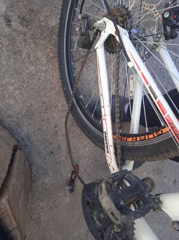 фирмы горных велосипедов: Велик матрас или козуга аламашам астындагы эки гибкий аппарат олгон