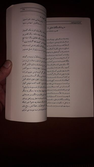 Иностранные языки: Персидский язык Грамматика Б/у состояние идеальное. Почти не — 27