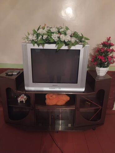 Rover: Телевизор Sony 32"