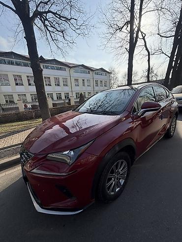 лексус нх: Lexus NX: 2017 г., 2 л, Автомат, Бензин, Кроссовер — 4