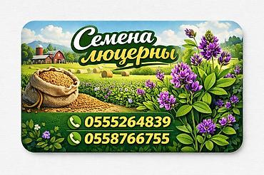 Семена люцерны - Кормовая культура с высокой питательной ценностью