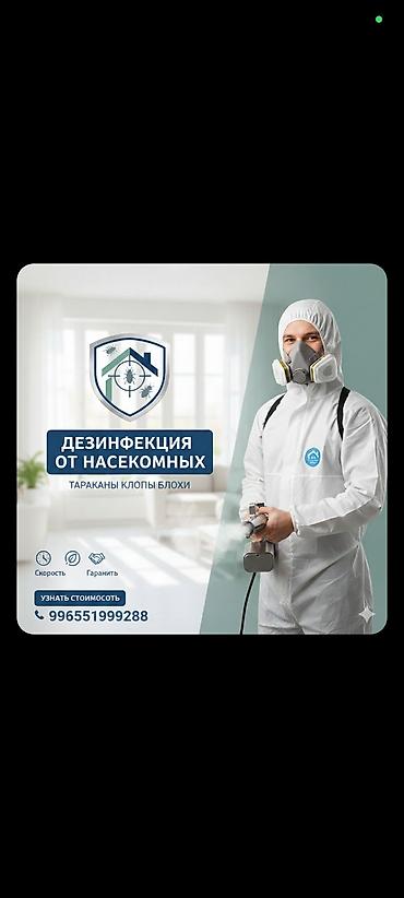паразит: Дезинфекция, дезинсекция, | Тараканы, Вирусы, микробы, Муравьи, | Квартиры, Дома, Кафе, магазины — 1