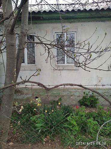 сел: Продаётся участок с домом.
Село Григорьевка, Иссык-кульская область — 10