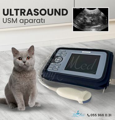 Tibbi avadanlıq: Veterinary portativ USM cihazi