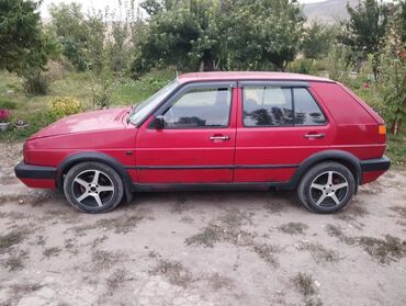 Volkswagen: Volkswagen Golf: 1990 г., 1.8 л, Механика, Бензин, Хэтчбэк