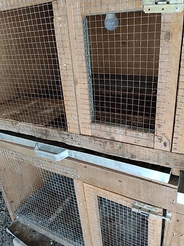 продажа птиц в баку: İki mərtəbə dord gozlu qəfes satilir.Dovsan bildircin goyərcin və s — 3