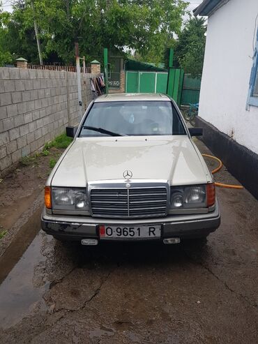 124 салон: Mercedes-Benz W124: 1987 г., Бензин