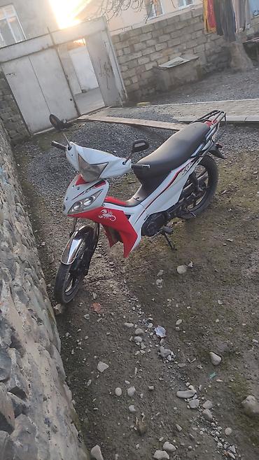 Mopedlər,skuterlər: - EGE seriyası — 17