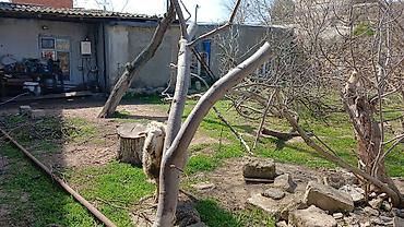 Torpaq sahələrinin satışı: Tikinti — 8