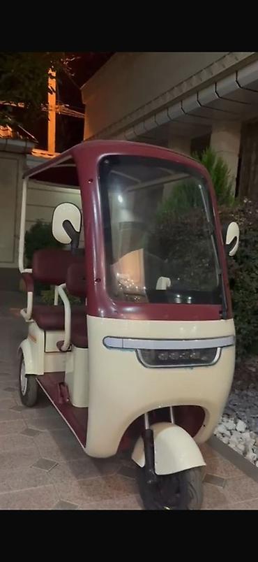 mini ev: Электрический трёхколёсный рикша-карт для пассажирских поездок - — 1