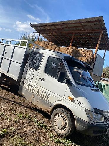 на грузовое авто: Грузовик, Mercedes-Benz, Дубль, 3 т, Б/у — 3