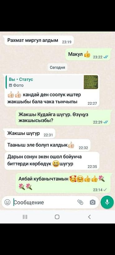 Аксессуары для волос: 🍀 Эн алгачкы жолу Кыргызстандын тарыхында 2019-жылы бит -сиркеге — 7