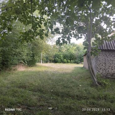 Torpaq sahələrinin satışı: 25 sot, Mülkiyyətçi, Kupça (Çıxarış) -da lalafo.az — 7 Torpaq sahələrinin satışı: 25 sot, Mülkiyyətçi, Kupça (Çıxarış) — 7