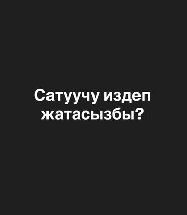 кондиционеры бишкек акция: IPhone 16 Pro Max