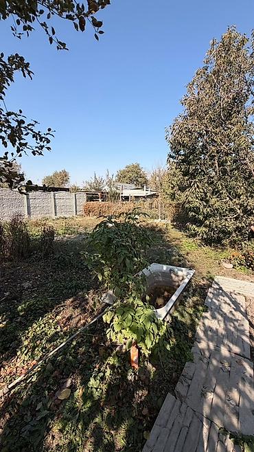 дом новопокровка 9 соток: 3 комнаты, 60 м², 7 соток, Шопоков, Агентство недвижимости — 5