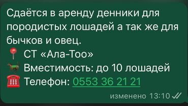резиновые маты для коров: Сдаются в аренду денники, подходящие для содержания породистых