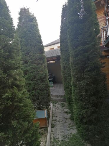 Bağbanlar: Bağban, 44 yaş, 5 ildən artıq təcrübə — 19