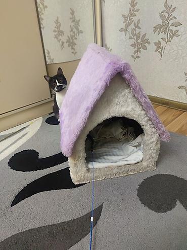 pişik damı: Pişik evi – yumşaq plyuş materialdan, daxili yastıqlı - Forma: ev — 5