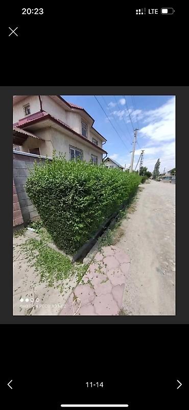 Дворники, садовники: 🌱Я Садовник приходящий раз в неделю Стрижка живой — 11