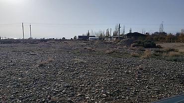 8 соток, Курулуш, Кызыл китеп — 4