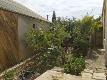 Bağ evlərinin satışı: Bakı, Kürdəxanı qəs., 110 kv. m, 4 otaqlı, Hovuzsuz, Qaz, İnternet, İşıq -da lalafo.az — 11 Bağ evlərinin satışı: Bakı, Kürdəxanı qəs., 110 kv. m, 4 otaqlı, Hovuzsuz, Qaz, İnternet, İşıq — 11