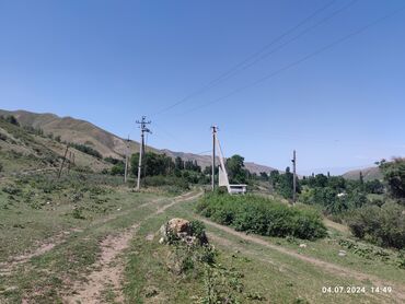 Продажа участков: 255 соток, Для сельского хозяйства — 2