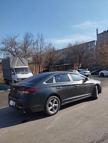 Hyundai: Hyundai Sonata: 2017 г., 2 л, Автомат, Бензин, Седан — 5