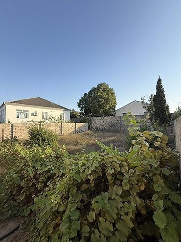 4 sot, Tikinti, Mülkiyyətçi, Kupça (Çıxarış)