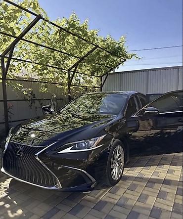 Частная аренда авто: В сутки 6000 сом!!! В час 1000 сомов Сдаём в аренду машины Без прав! — 11