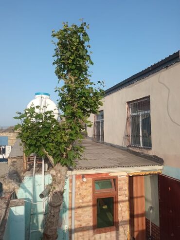 Həyət evləri və villaların satışı: Binəqədi qəs. 1 otaqlı, 4 kv. m, Kredit yoxdur, Orta təmir