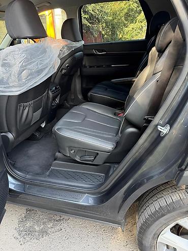 проекция для автомобиля: Hyundai Palisade: 2021 г., 2.2 л, Автомат, Дизель, Кроссовер — 7